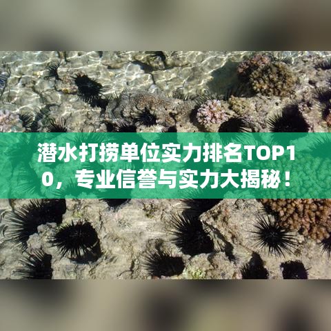 潜水打捞单位实力排名TOP10，专业信誉与实力大揭秘！