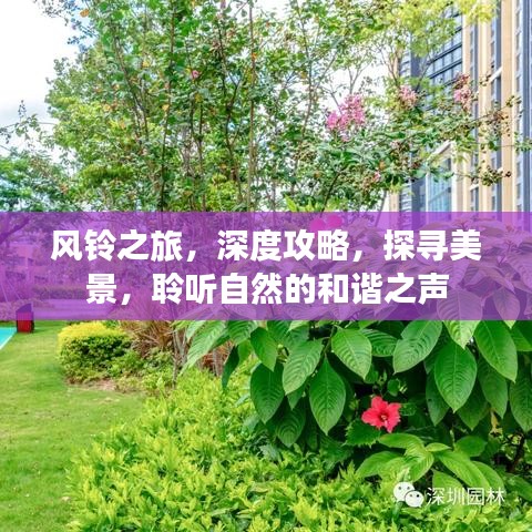 风铃之旅，深度攻略，探寻美景，聆听自然的和谐之声
