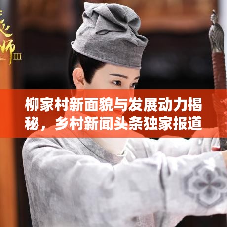 柳家村新面貌与发展动力揭秘，乡村新闻头条独家报道