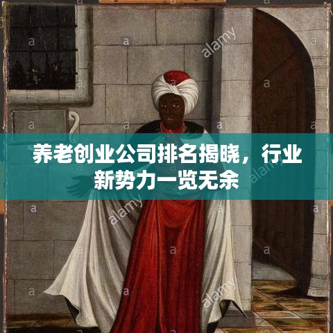 养老创业公司排名揭晓，行业新势力一览无余