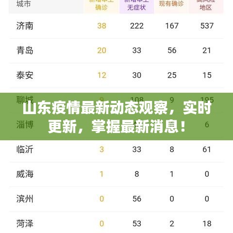 山东疫情最新动态观察，实时更新，掌握最新消息！
