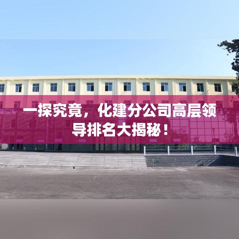 一探究竟，化建分公司高层领导排名大揭秘！