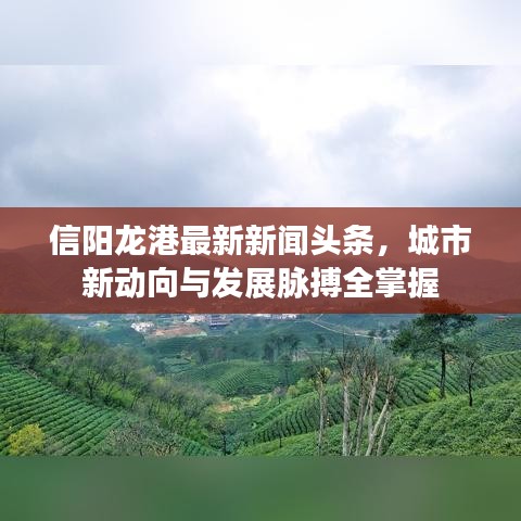 信阳龙港最新新闻头条，城市新动向与发展脉搏全掌握