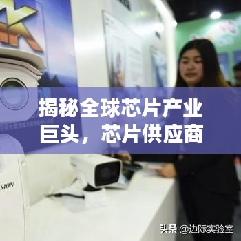 揭秘全球芯片产业巨头，芯片供应商公司排名榜单！