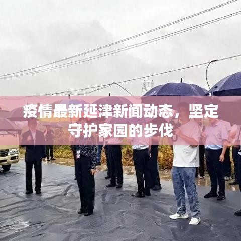 疫情最新延津新闻动态，坚定守护家园的步伐