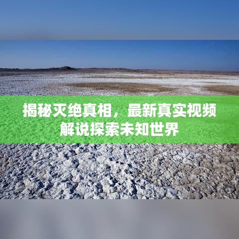 揭秘灭绝真相，最新真实视频解说探索未知世界