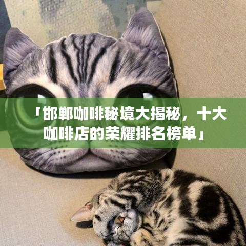 「邯郸咖啡秘境大揭秘，十大咖啡店的荣耀排名榜单」