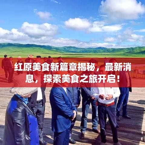 红原美食新篇章揭秘，最新消息，探索美食之旅开启！