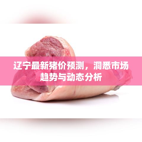 辽宁最新猪价预测，洞悉市场趋势与动态分析