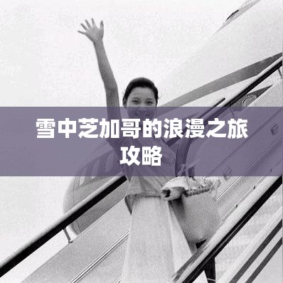 雪中芝加哥的浪漫之旅攻略
