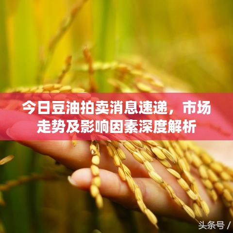 今日豆油拍卖消息速递，市场走势及影响因素深度解析