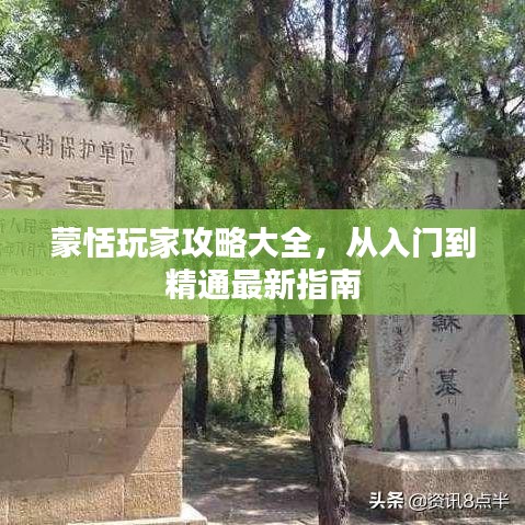蒙恬玩家攻略大全，从入门到精通最新指南