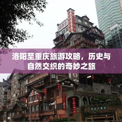 洛阳至重庆旅游攻略，历史与自然交织的奇妙之旅