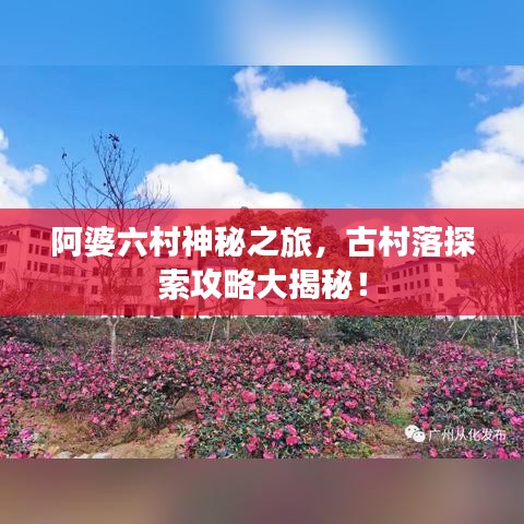 阿婆六村神秘之旅，古村落探索攻略大揭秘！