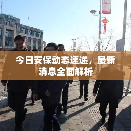 今日安保动态速递，最新消息全面解析