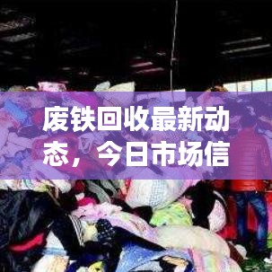 2025年5月28日 第37页