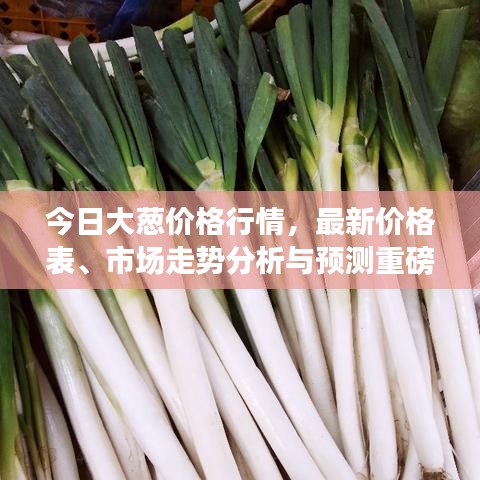 今日大葱价格行情，最新价格表、市场走势分析与预测重磅揭秘！