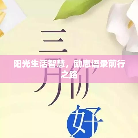 阳光生活智慧，励志语录前行之路