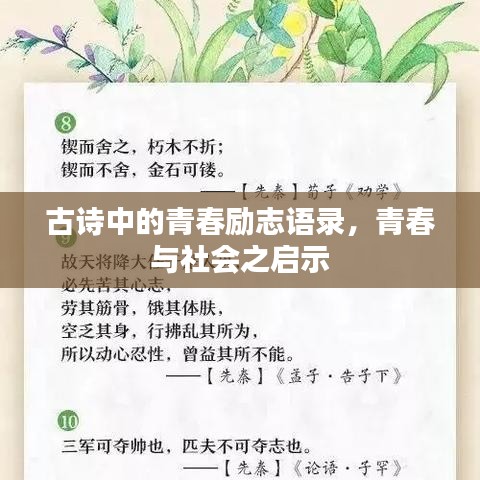古诗中的青春励志语录，青春与社会之启示