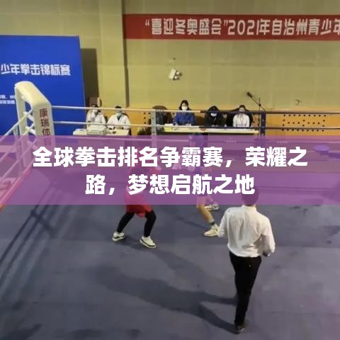 全球拳击排名争霸赛，荣耀之路，梦想启航之地