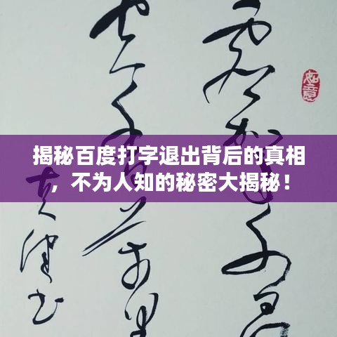 揭秘百度打字退出背后的真相，不为人知的秘密大揭秘！