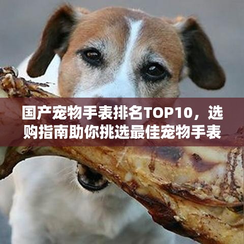 2025年5月28日 第4页