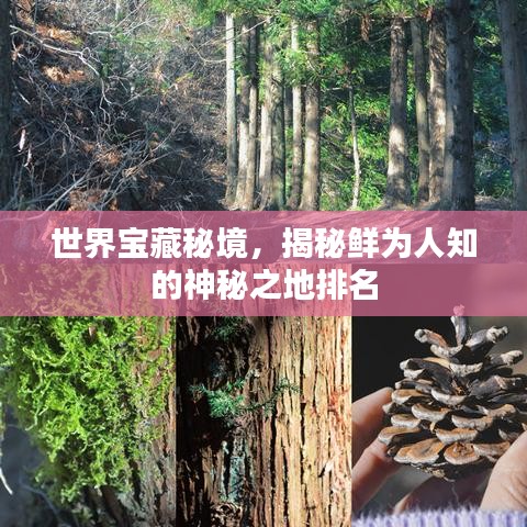 2025年5月29日 第48页