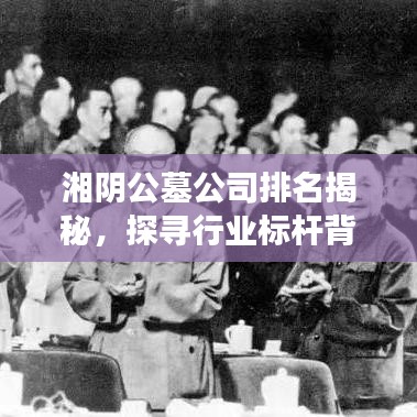 湘阴公墓公司排名揭秘，探寻行业标杆背后的故事与发展趋势
