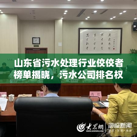 山东省污水处理行业佼佼者榜单揭晓，污水公司排名权威解读！