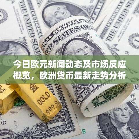 今日欧元新闻动态及市场反应概览，欧洲货币最新走势分析