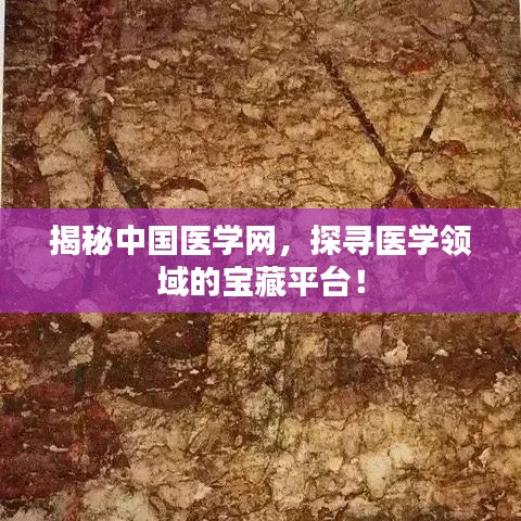 揭秘中国医学网，探寻医学领域的宝藏平台！