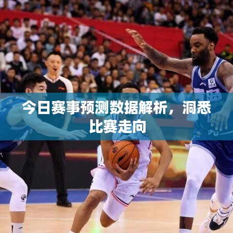 今日赛事预测数据解析，洞悉比赛走向