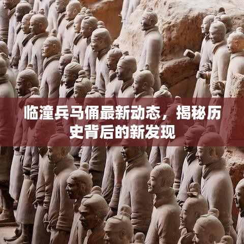 临潼兵马俑最新动态，揭秘历史背后的新发现