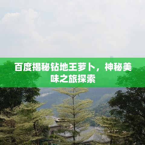 百度揭秘钻地王萝卜，神秘美味之旅探索