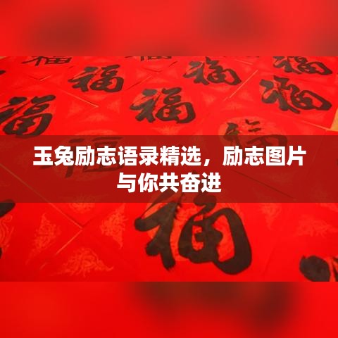 玉兔励志语录精选，励志图片与你共奋进