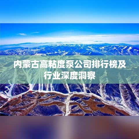 内蒙古高粘度泵公司排行榜及行业深度洞察