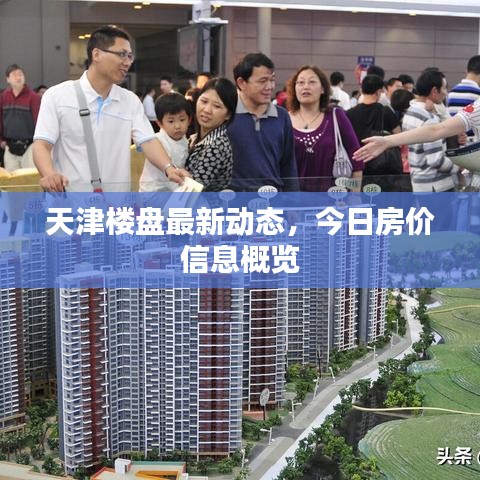 天津楼盘最新动态，今日房价信息概览