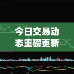 今日交易动态重磅更新，市场走势深度分析与预测报告出炉！