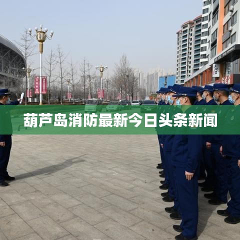 葫芦岛消防最新今日头条新闻