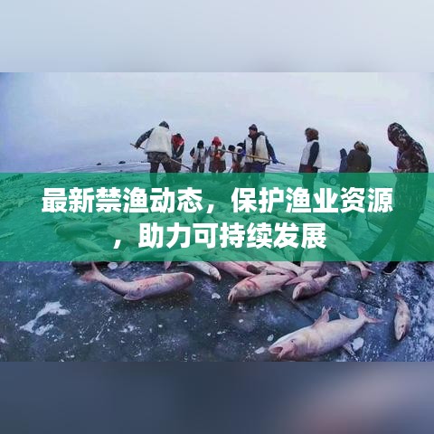 最新禁渔动态，保护渔业资源，助力可持续发展