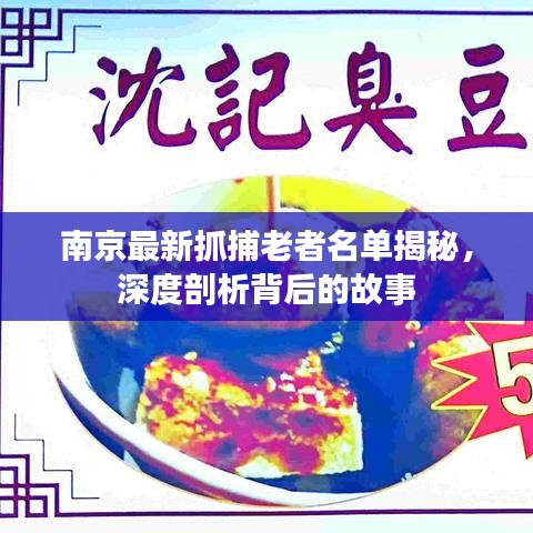 南京最新抓捕老者名单揭秘，深度剖析背后的故事