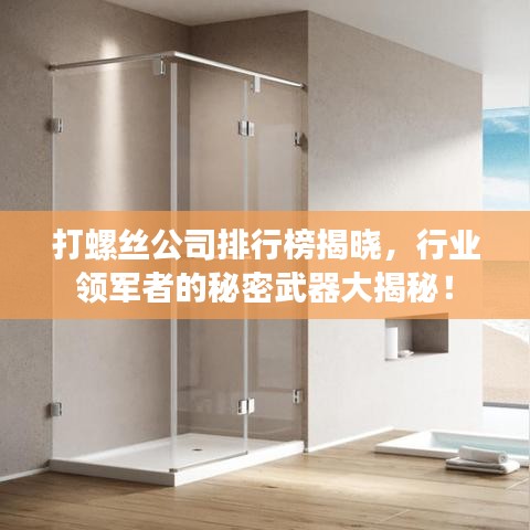 打螺丝公司排行榜揭晓，行业领军者的秘密武器大揭秘！