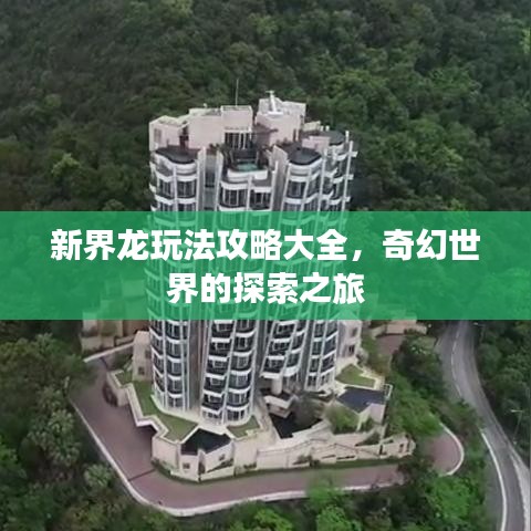 新界龙玩法攻略大全，奇幻世界的探索之旅
