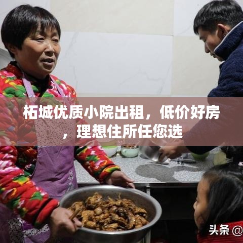 柘城优质小院出租，低价好房，理想住所任您选