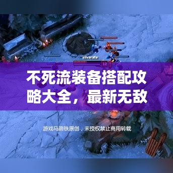 不死流装备搭配攻略大全，最新无敌战斗装备组合揭秘