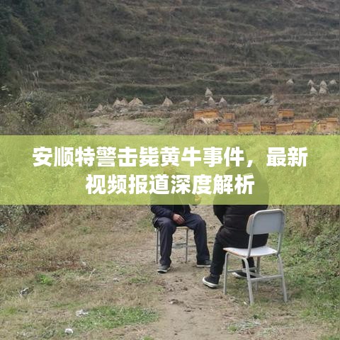 安顺特警击毙黄牛事件，最新视频报道深度解析