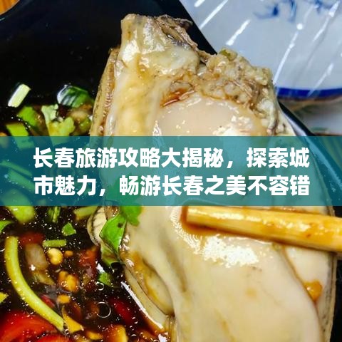 长春旅游攻略大揭秘，探索城市魅力，畅游长春之美不容错过！