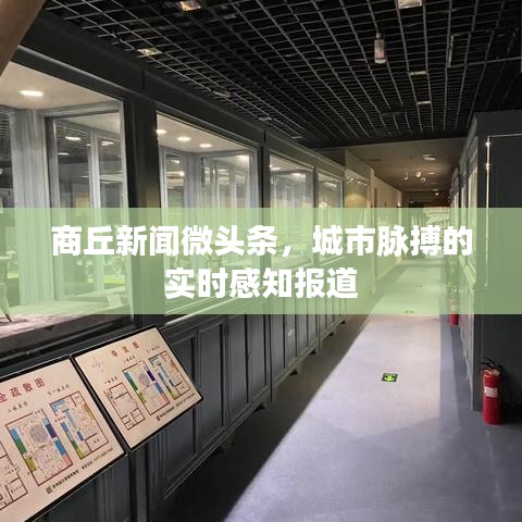 商丘新闻微头条，城市脉搏的实时感知报道
