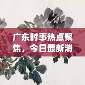 广东时事热点聚焦，今日最新消息与发展动态洞察