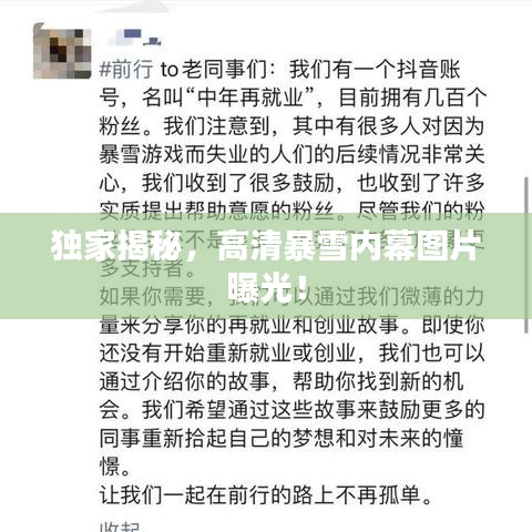 独家揭秘，高清暴雪内幕图片曝光！